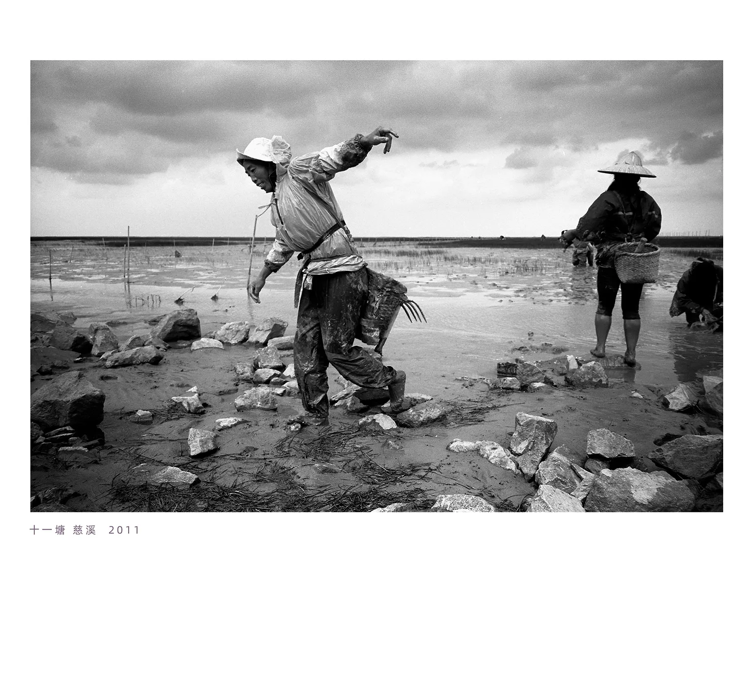 阿拉海岸行摄影作品 8