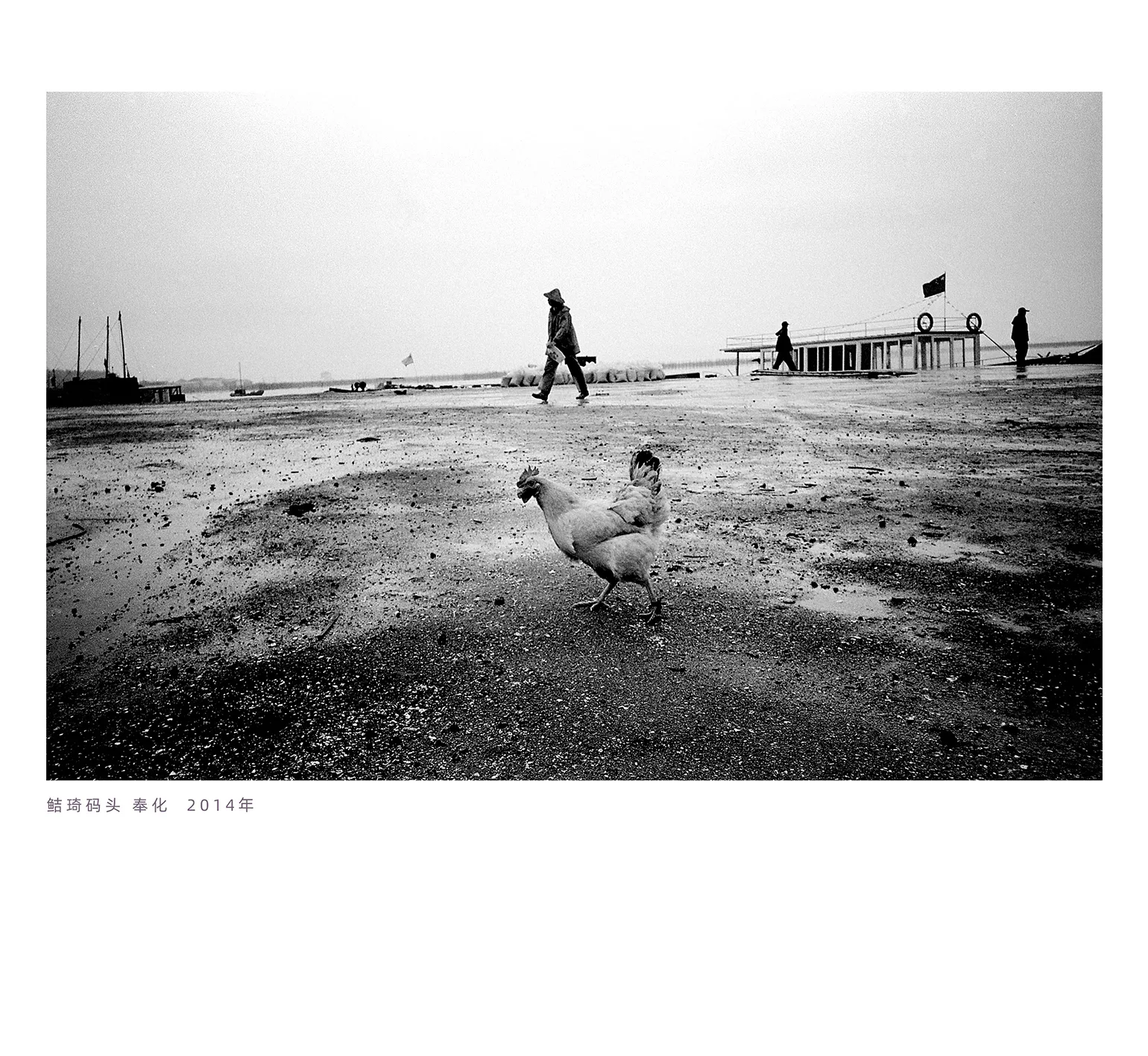 阿拉海岸行摄影作品 10