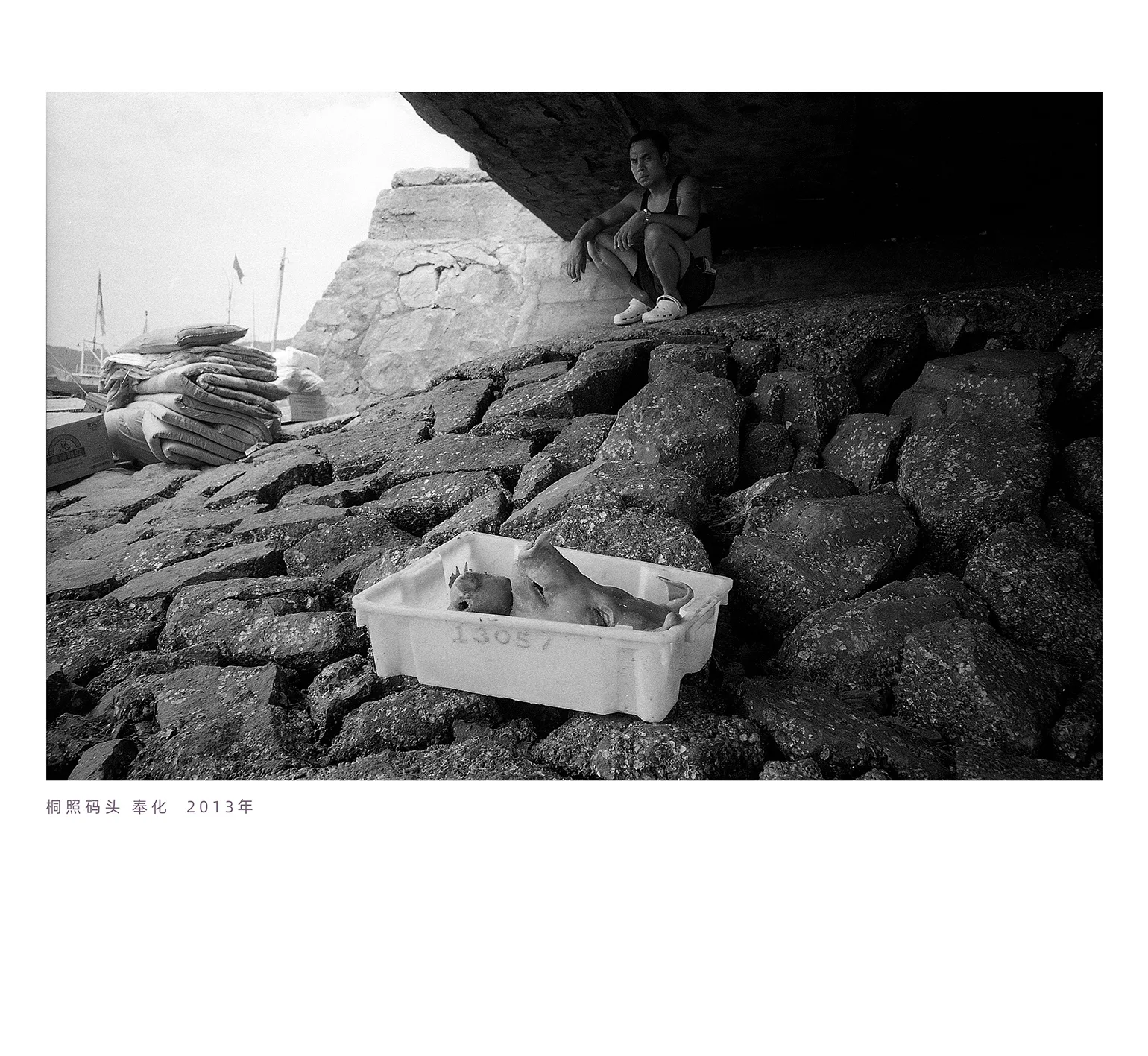 阿拉海岸行摄影作品 9