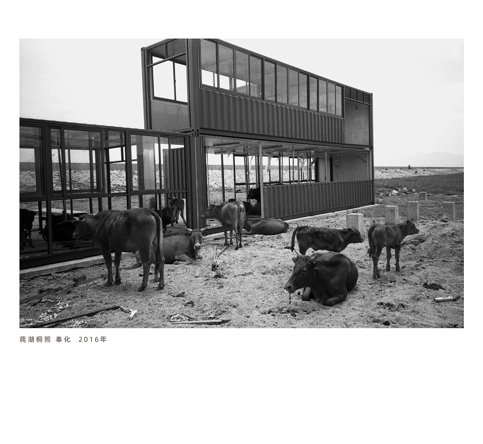 阿拉海岸行摄影作品 12